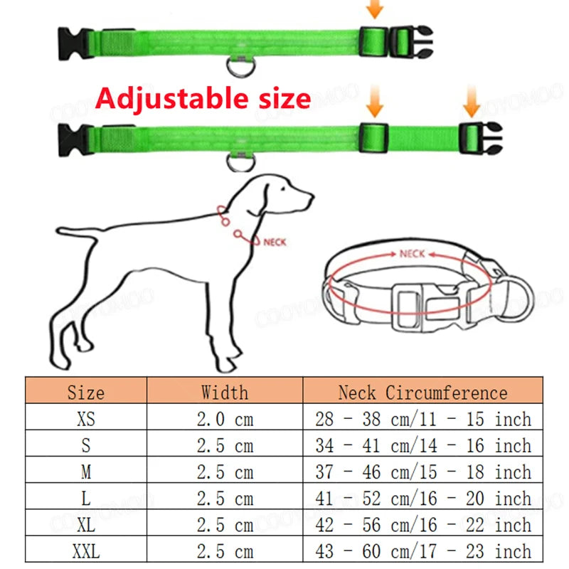 3 Modi Hunde-Leuchthalsband mit USB-Ladefunktion, abnehmbares Nacht-LED-Leuchthalsband für Hunde, Verlustverhütung, Haustierzubehör