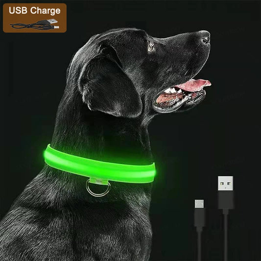 Safety dog collar: LED, USB Charging & Waterproof